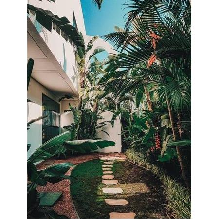 Doğru Bitki Türünü Seçme Kriterleri Nelerdir?