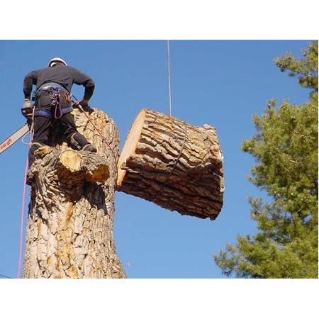 Motorlu testere Önlemleri