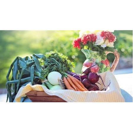 Organik Yetiştiriciliğin 4 Faydası