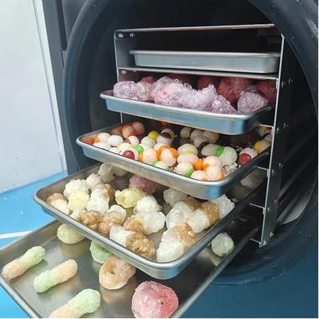 Dondurarak kurutma makinesi ile gıda kurutucusu arasındaki fark nedir?