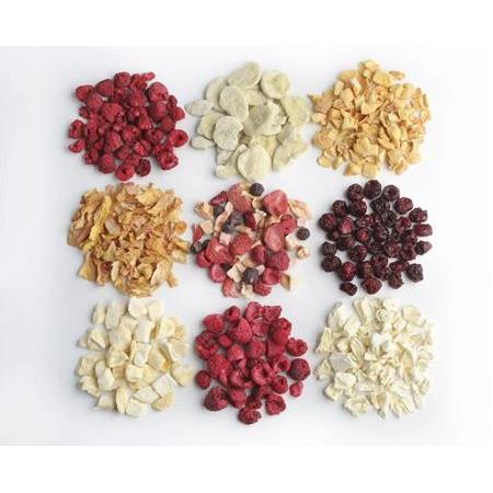 Evde neleri dondurarak kurutabilirsiniz?