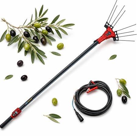 Zeytin Hasadında Maksimum Verim Nasıl Sağlanır?