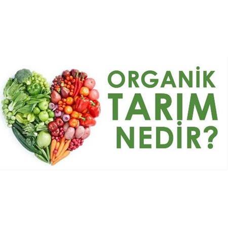 Organik Tarım