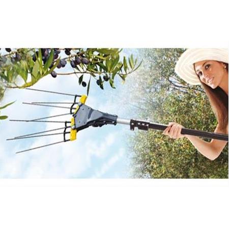 Zeytin Hasadı Hakkında...