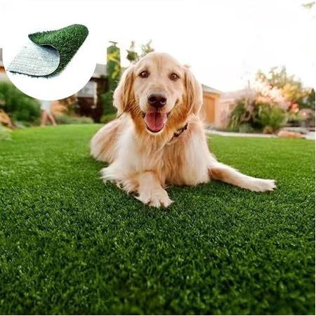 Ot İlacı Köpekler İçin Güvenli Midir?