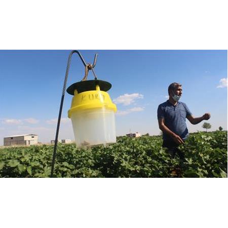 Feromon tuzakları nedir ve nasıl çalışır?