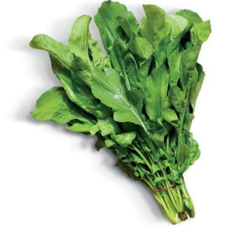 İstanbul Tohumculuk Roka Tohumu