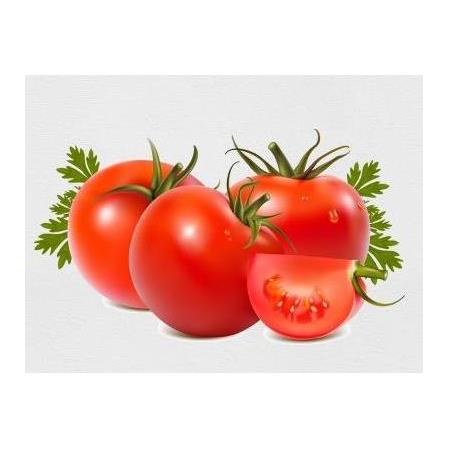 İstanbul Tohumculuk  İnvictus Domates Tohumu