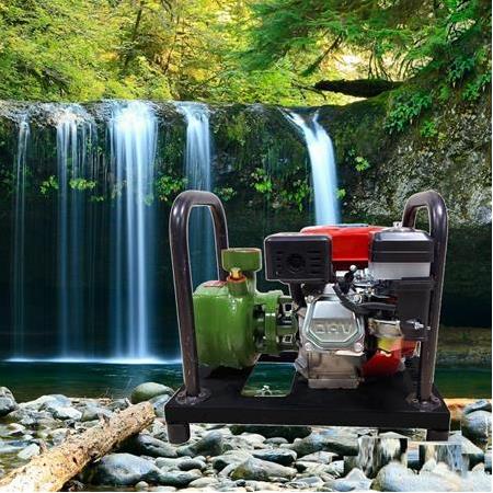 Gardenpro WP-20/155H Yüksek Basınçlı 3 Fanlı Su Motoru 155 mt 7 Hp