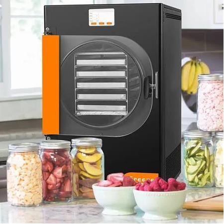 Dalle DFD-06 Yüksek Teknolojili Freeze Dryer Dondurarak Kurutma Fırını - Liyofilizatör