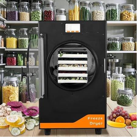Dalle DFD-06 Yüksek Teknolojili Freeze Dryer Dondurarak Kurutma Fırını - Liyofilizatör